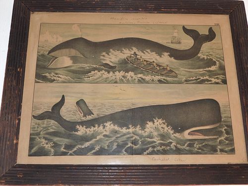 ANTIQUE FRENCH WHALING PRINT19th 383ef9