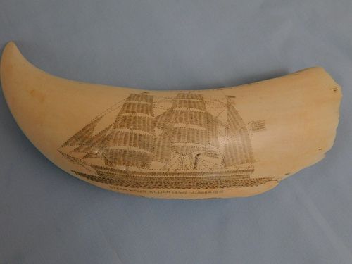 SCRIMSHAW TOOTH W/WHALE SHIPLarge