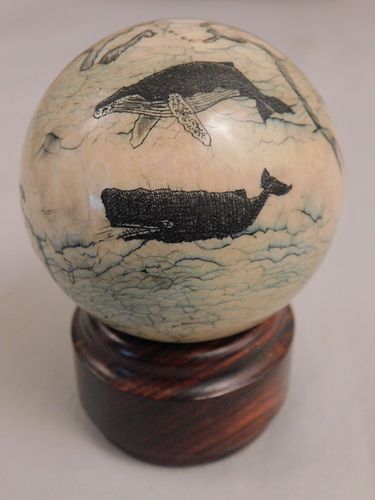 SCRIMSHAW TOOTH OF GLOBEFine scrimshaw 3844b9