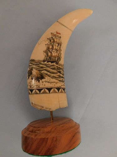 SCRIMSHAW MERMAID TOOTHCurved whale 3844bc