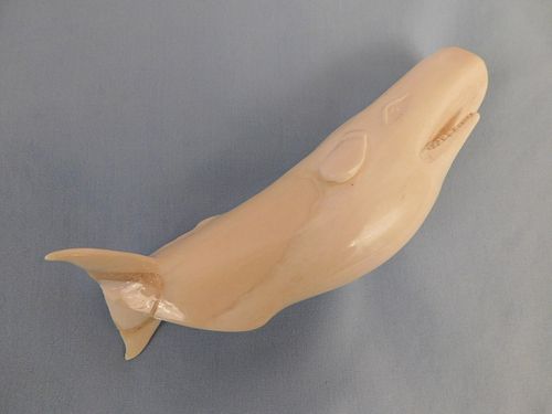 CARVED WHALE TOOTH SPERM WHALEFine 384819