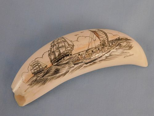 WHALE TOOTH SIGNED PERKINSSmall