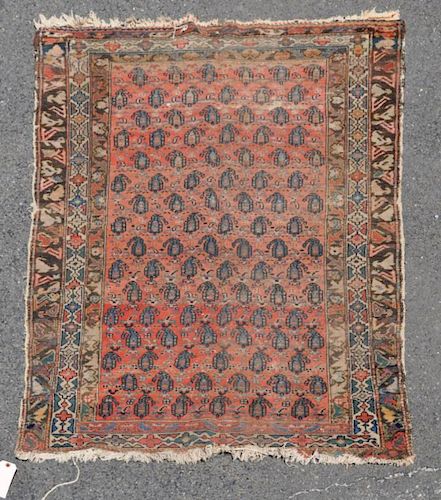 PERSIAN RUG6 1 long 4 wide  3831b4