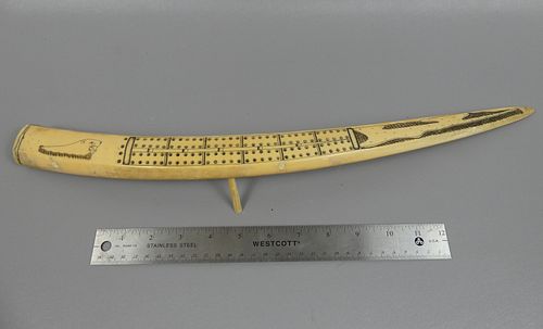 SCRIMSHAW WALRUS TUSK CRIBBAGE BOARDLarge