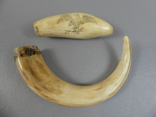 BOAR TOOTH & WHALE TOOTH2 pieces: