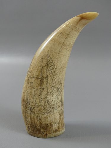 WHALE TOOTH - NEPTUNE'S COURTWhale