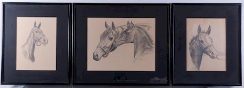 LOIS CHURCH EQUESTRIAN DRAWINGS  386114