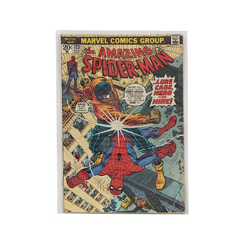 THE AMAZING SPIDER-MAN, ISSUES