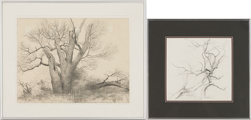 2 CHARLES BRINDLEY TENNESSEE TREE STUDIESCharles