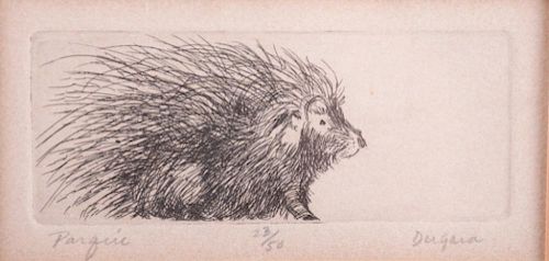 ANN DERGARA ETCHING OF PORCUPINE 385835