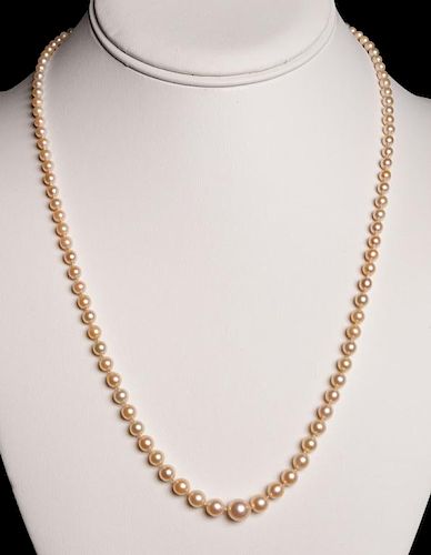 GRADUATED PEARL NECKLACEIvory color 385abd