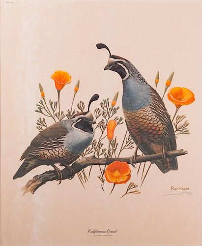 RAY HARM CALIFORNIA QUAIL SIGNED PRINTMatted