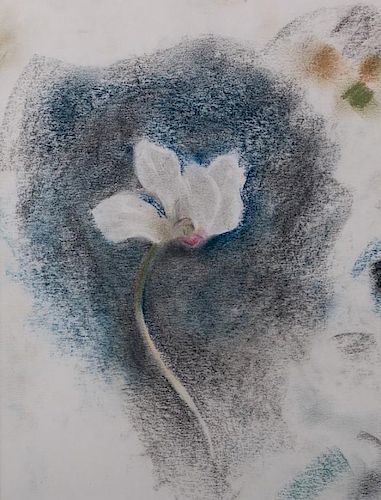 JULIEN BINFORD FLORAL PASTEL ON 385bd3