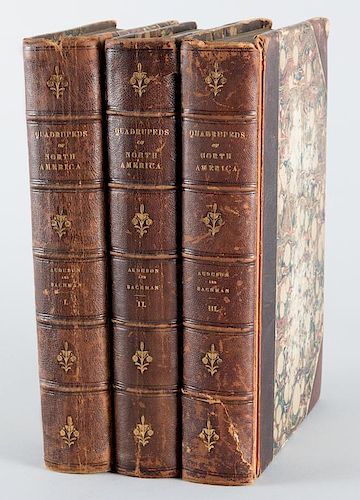 J.J. AUDUBON: 3 VOLS. QUADRUPEDS