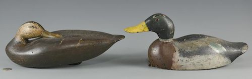 2 CARVED DUCK DECOYSTwo 2 hand 3888e0