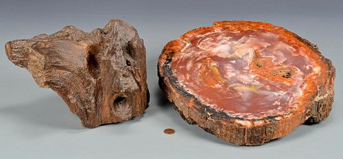 2 PETRIFIED WOOD PCS INCLUDING 389402