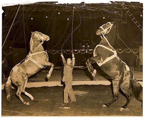 GROUP OF 22 EQUESTRIAN PHOTOGRAPHS.Group