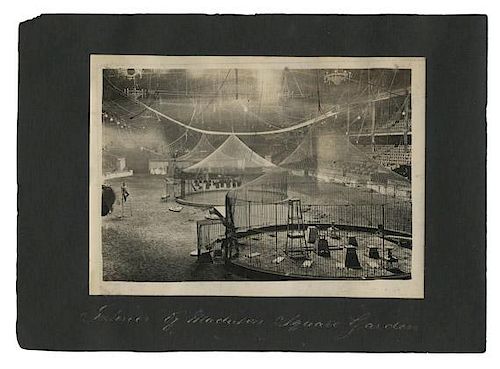 RINGLING BROTHERS AND BARNUM  3876f1