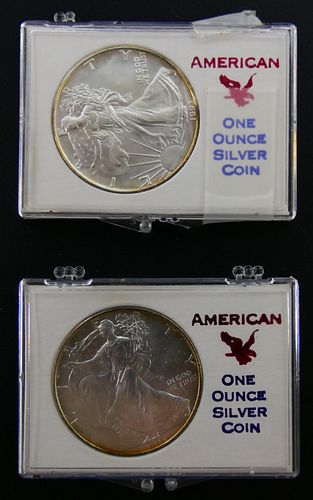 LOT OF (2) 1993 LIBERTY EAGLE SILVER