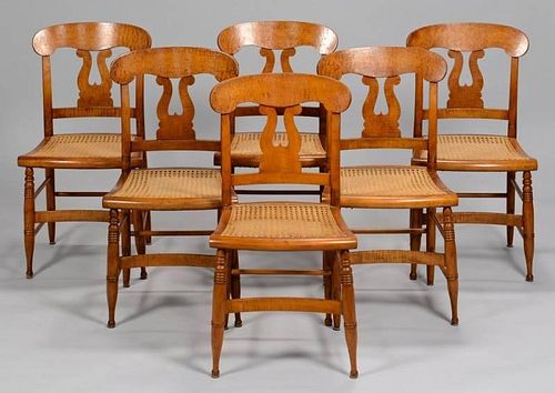 SET OF 6 SHERATON TIGER MAPLE CHAIRSSet