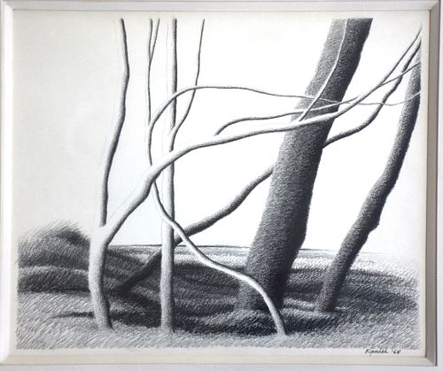 GRAPHITE DRAWING BY ROBERT KIPNISS  389e4d