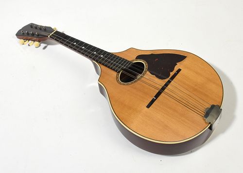 MANDOLIN THE VEGA CO Mandolin 389ed9