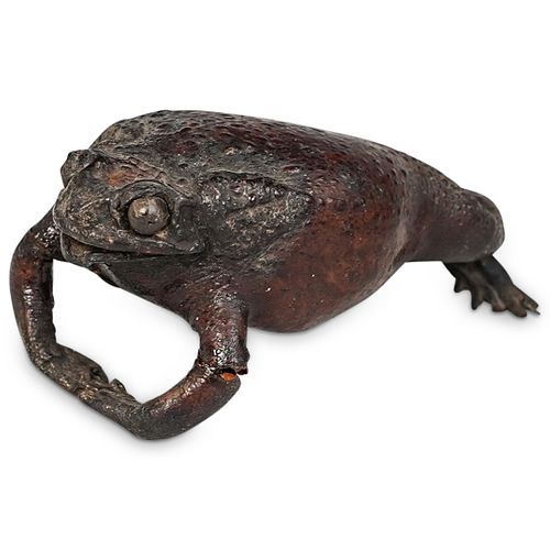 APOCRATHY AFRICAN BULL FROG SPECIMENDESCRIPTION: