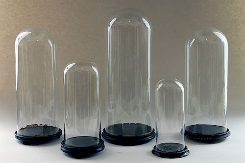 COLLECTION 5 GLASS DISPLAY DOMES