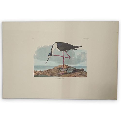 JOHN JAMES AUDUBON AMERICAN 1785 1851  39030d