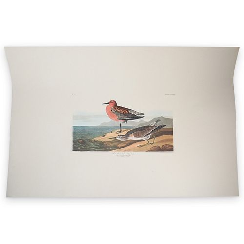 JOHN JAMES AUDUBON AMERICAN 1785 1851  38f366