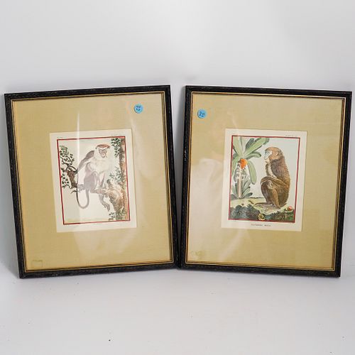  2 PC HAND COLORED FRENCH ART 392e20