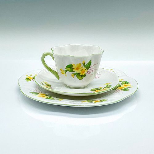 SHELLEY FINE BONE CHINA TEA CUP 392f70