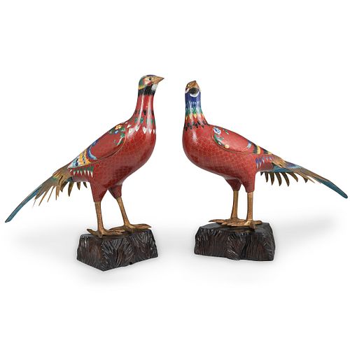 PAIR OF CHINESE CLOISONNE PHEASANTSDESCRIPTION  391a16