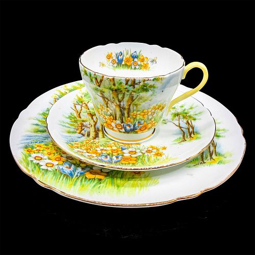 SHELLEY ENGLAND TEA SET TRIO, DAFFODIL