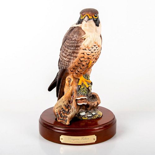 PEREGRINE FALCON HN3541 ROYAL 397e0d