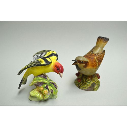 ROYAL WORCESTER WESTERN TANAGER 39a193