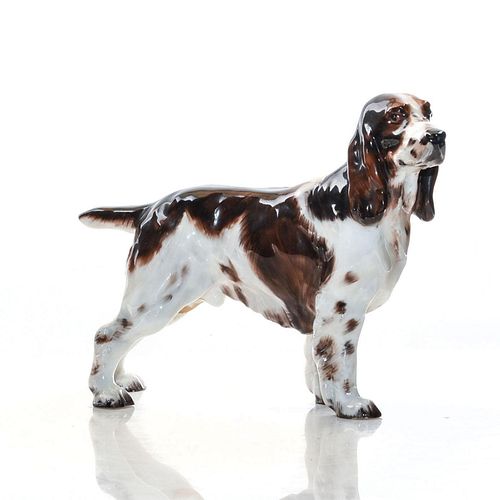 SPRINGER SPANIEL HN2517 - ROYAL