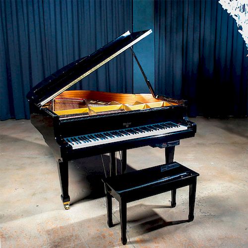 WEBER WG 175 BABY GRAND EBONIZED 39aa01