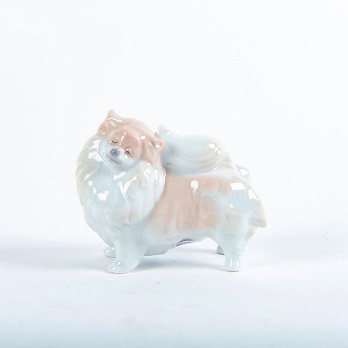 POMERANIAN DOG 01008338 LLADRO 398c64