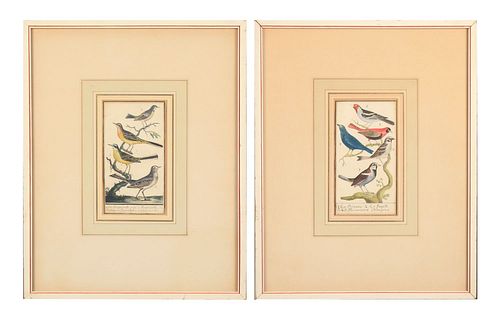 TWO 18THC ORNITHOLOGICAL PRINTSTwo 39cc42