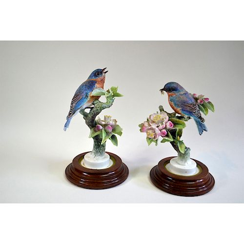 ROYAL WORCESTER BLUEBIRDS AND APPLE 39b5e7