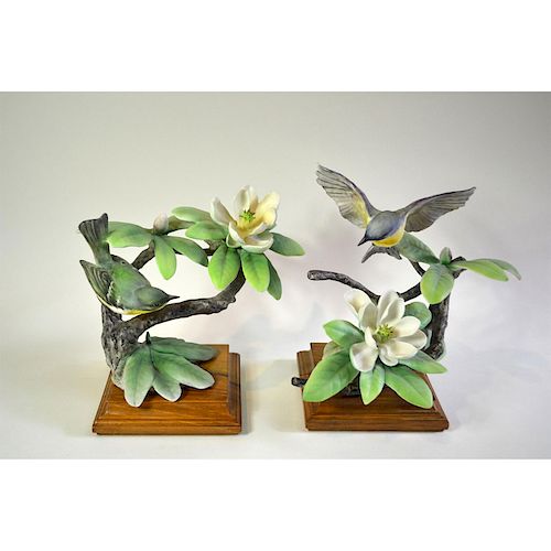 ROYAL WORCESTER PARULA WARBLERS 39b5f1