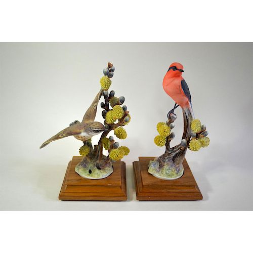 ROYAL WORCESTER VERMILLION FLYCATCHERS 39b5f8