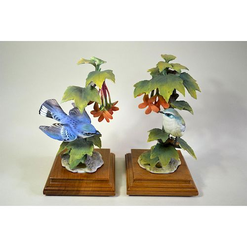 ROYAL WORCESTER CERULEAN WARBLERS 39b5fa