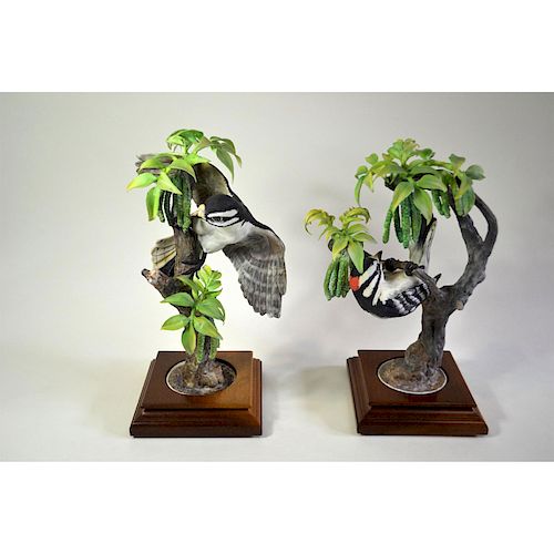 ROYAL WORCESTER LITTLE DOWNY WOODPECKERS