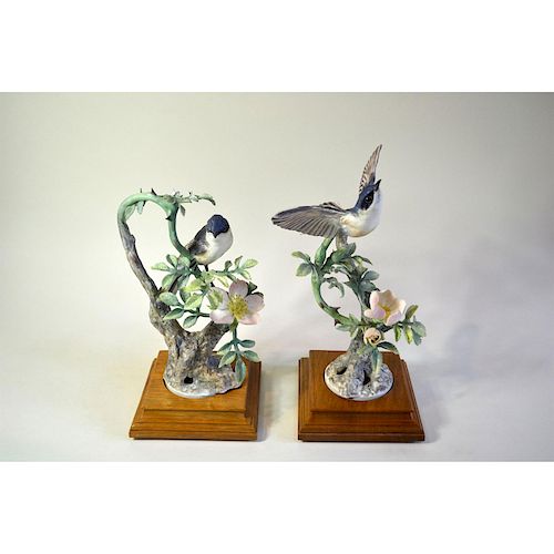 ROYAL WORCESTER LESSER WHITE THROAT 39b603