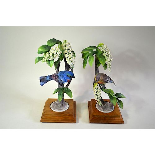 ROYAL WORCESTER LAZULI BUNTINGS