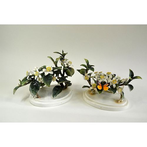 ROYAL WORCESTER ORANGE BLOSSOM 39b60a