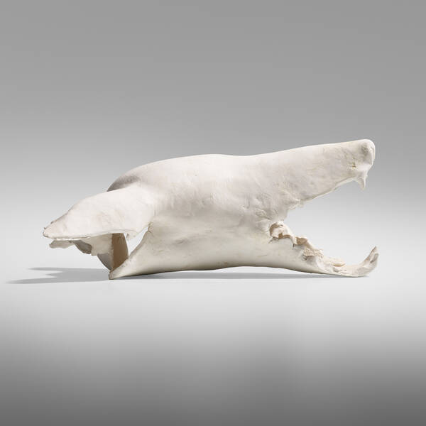 Daisy Youngblood Dog Skull c  39d5ee