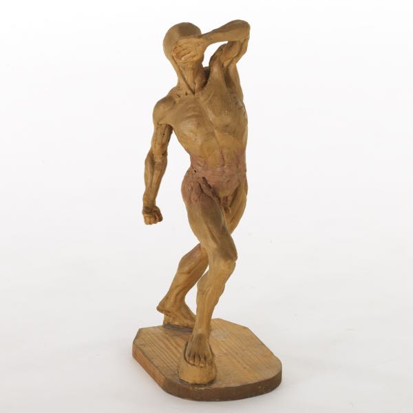 CARVED WAX MUSCLE STUDY MALE NUDE FIGURE